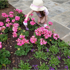 Children Tending Pink Flowers In Dallas