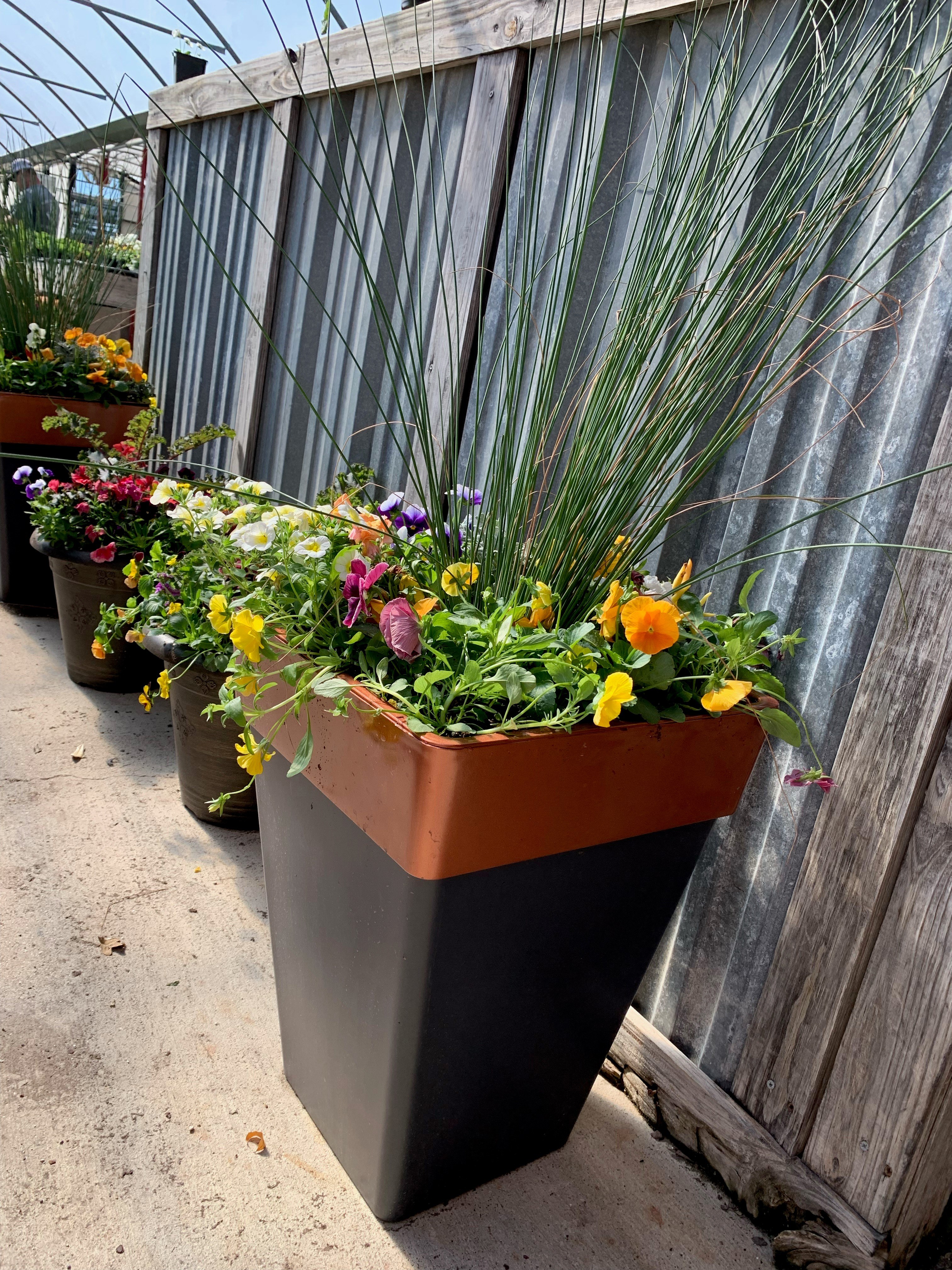 Beautiful baskets and containers of flowers & plants for every use.